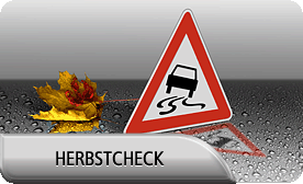 Fruejahrscheck
